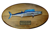 10x20 Solid Walnut Wahoo