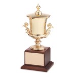 Award Cups